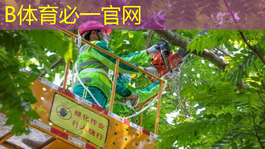 bsports.必一体育官网：室内体育用品健身棒