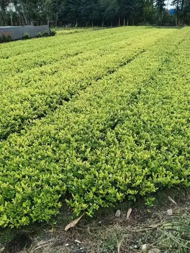 天热适合室内健身吗