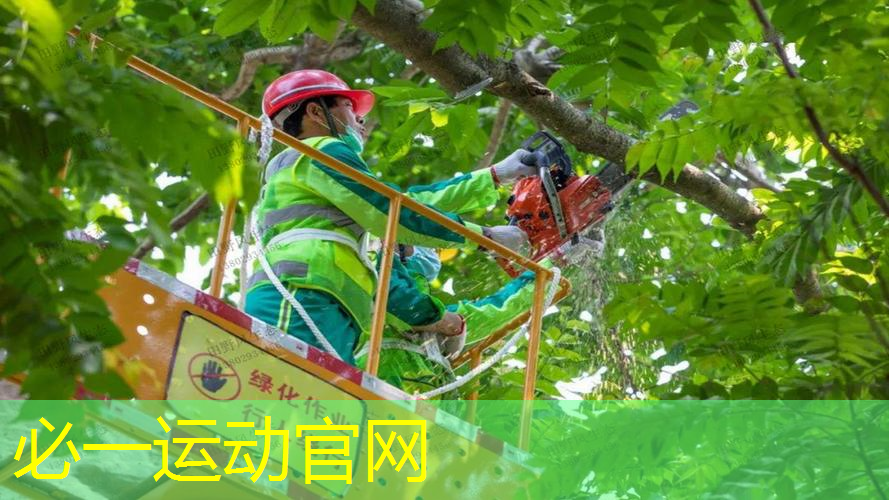 室内体育用品健身棒